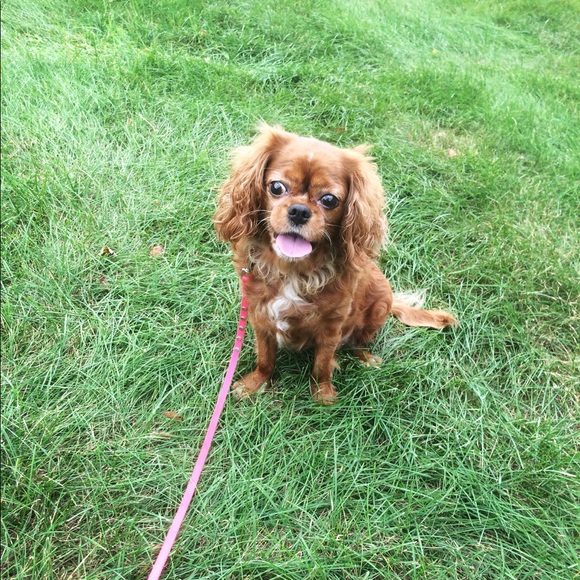 Meet Your Posher, Jacky! - Picture 6 of 8